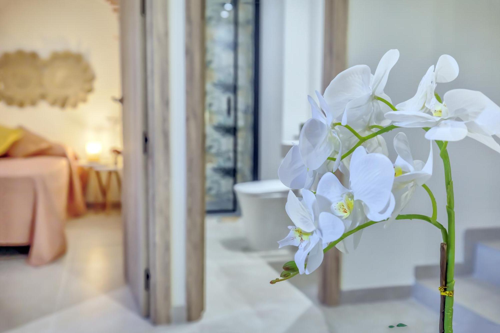 Apartament Aromas De San Pedro Kordoba Zewnętrze zdjęcie